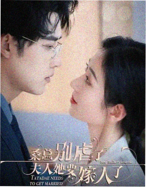 热播电视剧长夜将明在线观看海报
