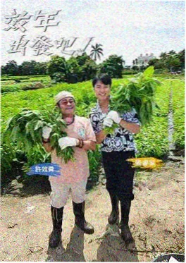 音乐选秀综艺声浪计划在线观看海报
